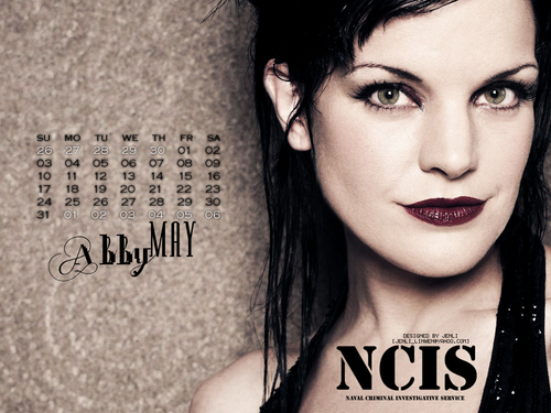  NCIS - Calendar 2009