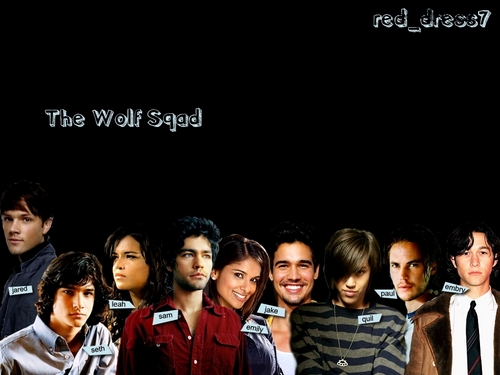  The wolf Sqad