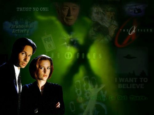  the xfiles