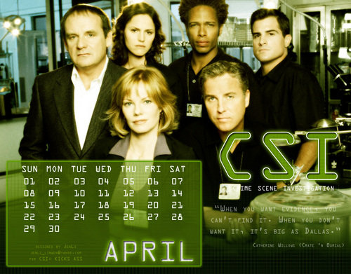  CSI Calendar 2007