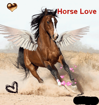  Horse cinta