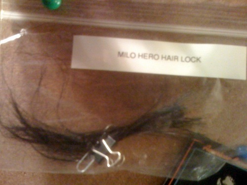  Milo Hair lock!