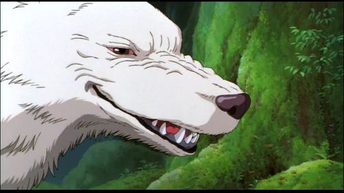 White wolf smiling