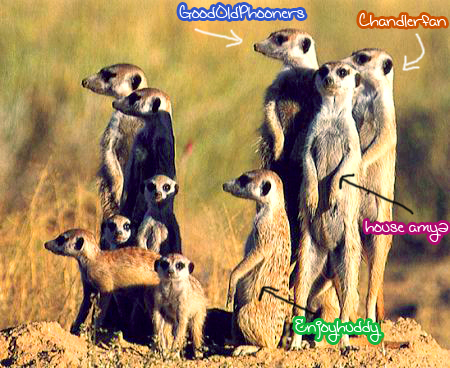  olivines meerkats inspired por hc4ever
