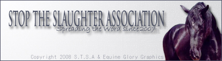 Stop Horse Slaughter Banner