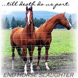  Stop The Slaughter Now