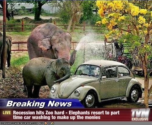  Zoo Recession