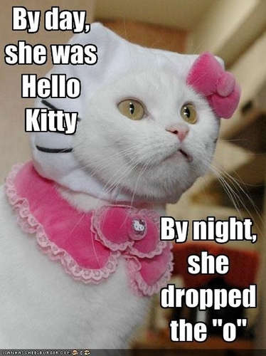  Hell-o Kitty