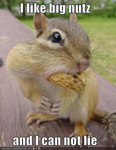  I like big nuts!