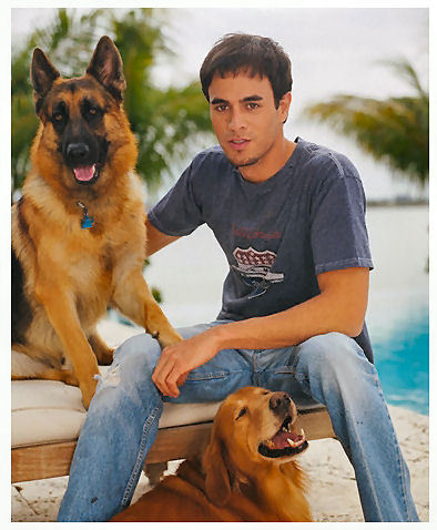  Enrique's chó