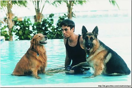  Enrique's chiens
