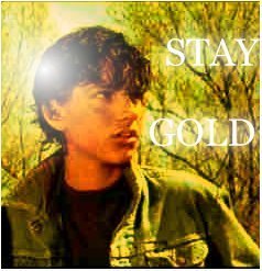  stay Gold