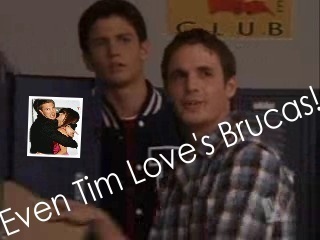 布鲁克与卢卡斯（Brucas）