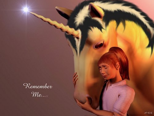  Remember Me Unicorn