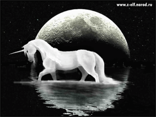  Unicorn under the moon