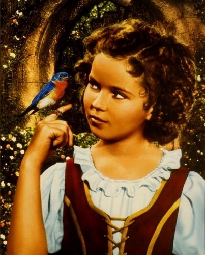  Shirley in The Blue Bird