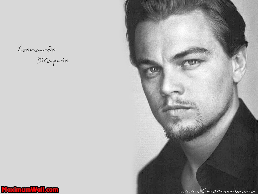 Leonardo - Leonardo DiCaprio Wallpaper (5095696) - Fanpop