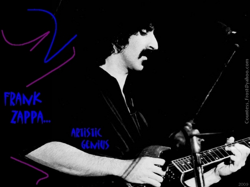  Frank Zappa... artistic genius