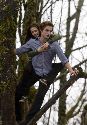  Edwad and Bella पेड़ climbing