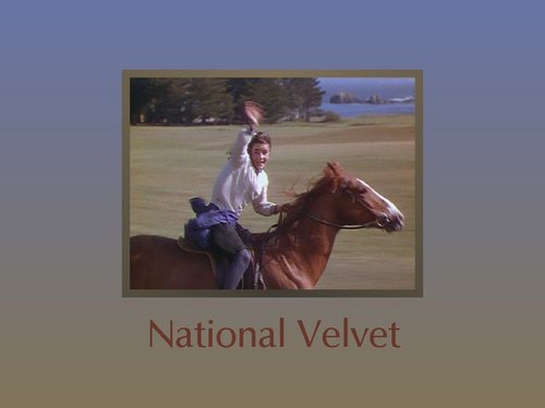  National Velvet