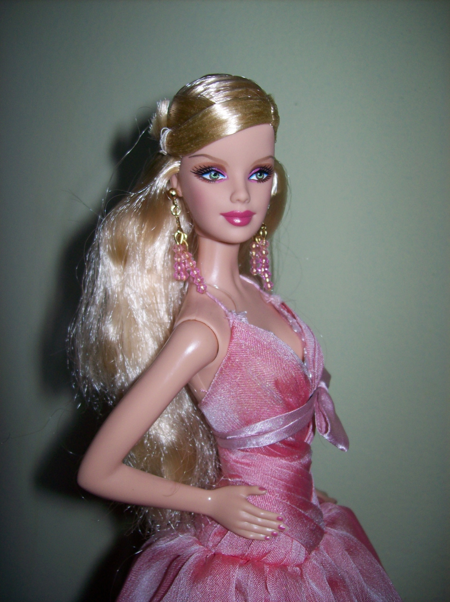 Barbie 2008 - Barbie Collectors Photo (5207004) - Fanpop