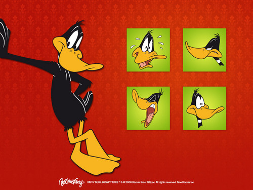  Daffy canard fond d’écran