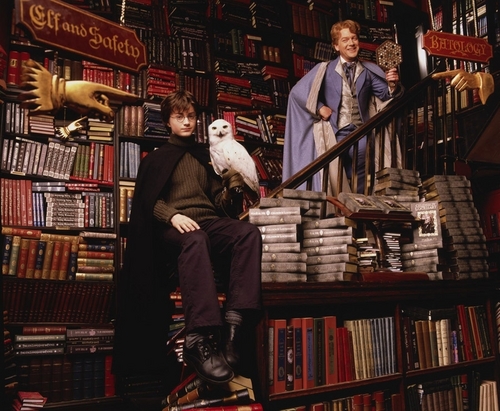 Gilderoy Lockhart & Harry Potter
