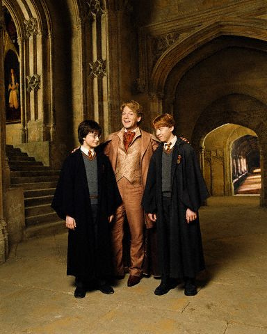  Gilderoy Lockhart, Harry & Ron