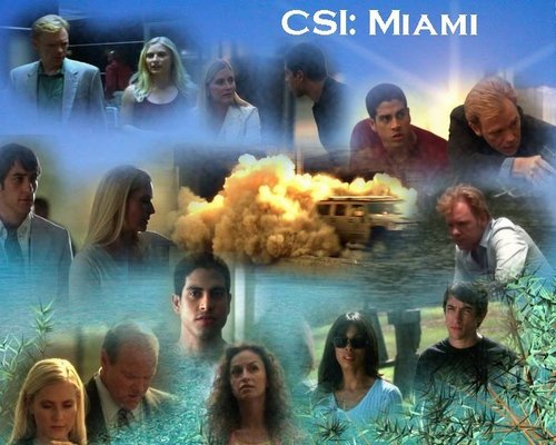  C.S.I. Miami