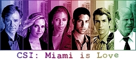  C.S.I. Miami
