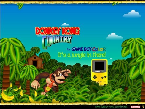  Donkey Kong rocks!