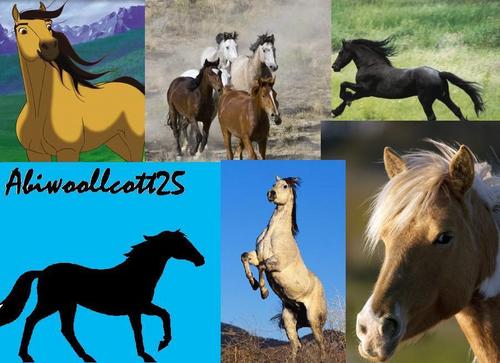  Horse collage