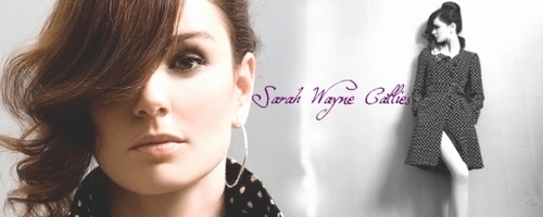  Sarah Wayne Callies-Sarah Tancredi