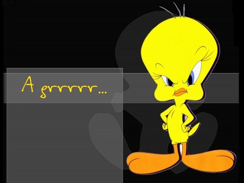  Angry Tweety Bird fond d’écran