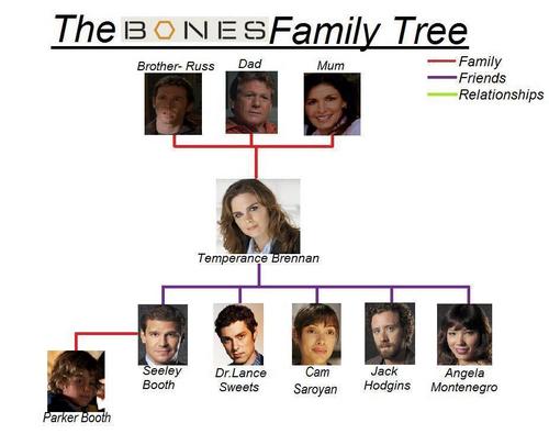  Bones Family arbre