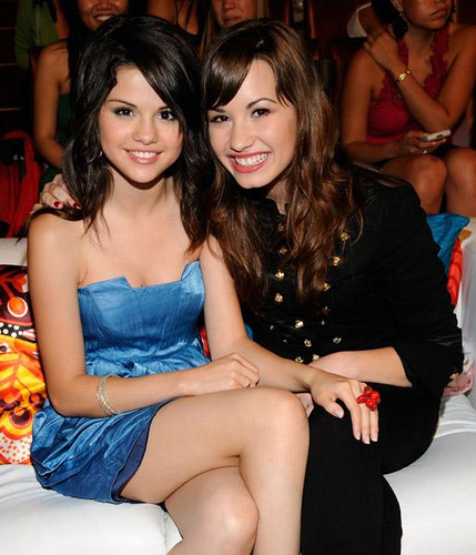  Dem and Sel