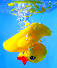 Drowning a duck