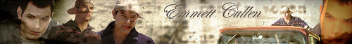  Emmett Banner