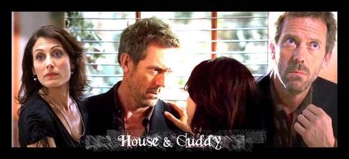  House & Cuddy