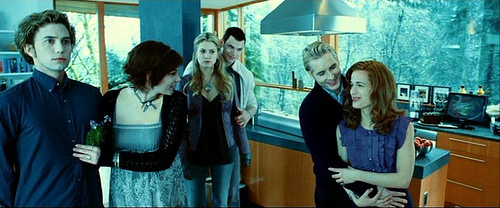  MEETING THE CULLENS