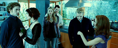  MEETING THE CULLENS