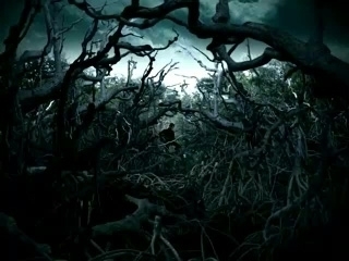  Spooky forest