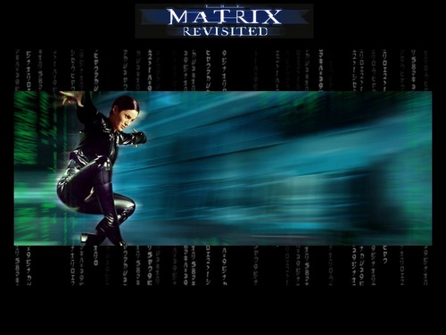  Trinity Matrix fondo de pantalla