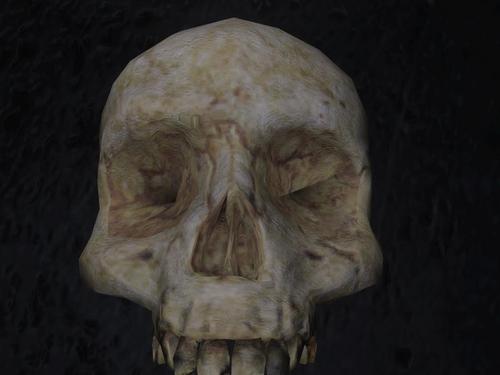 chiefs skull