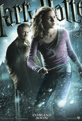  new hp6 poster
