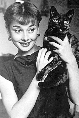  Audrey and Mr.Famous