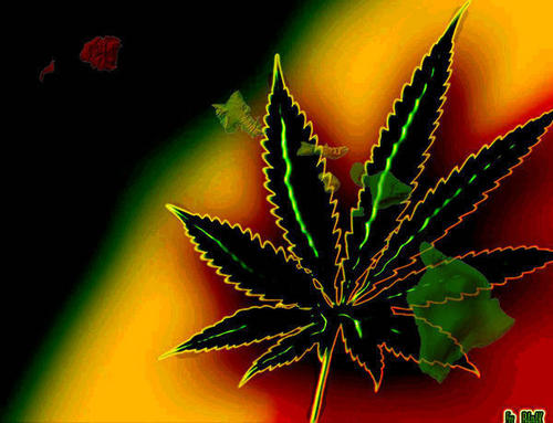  Jamaican Pot Leaf