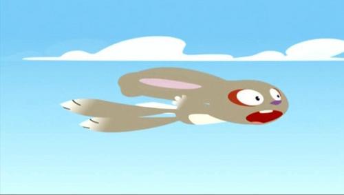  Rabbit Flies To The Skies...