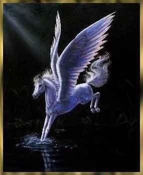  White Pegasus