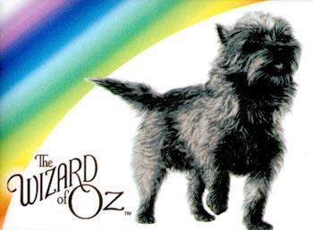 Wizard of Oz - Toto